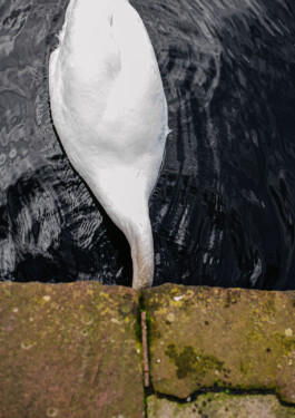  Jan Bechberger Fotograf Berlin