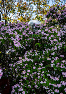  Jan Bechberger Fotograf Berlin