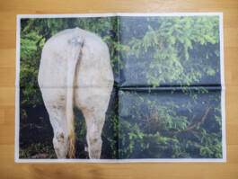 Jan Bechberger Fotograf Berlin