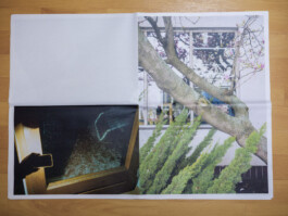 Jan Bechberger Fotograf Berlin