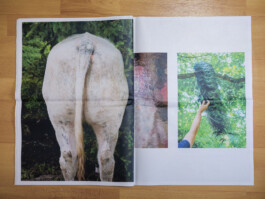 Jan Bechberger Fotograf Berlin