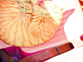  Jan Bechberger Fotograf Berlin