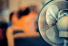  Jan Bechberger Fotograf Berlin