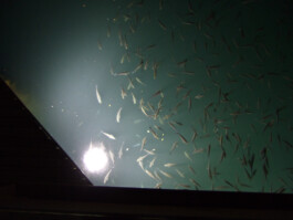  Jan Bechberger Fotograf Berlin