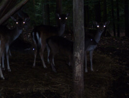  Jan Bechberger Fotograf Berlin