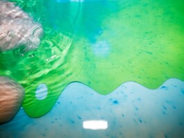  Jan Bechberger Fotograf Berlin