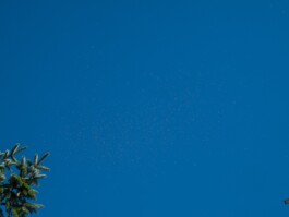  Jan Bechberger Fotograf Berlin