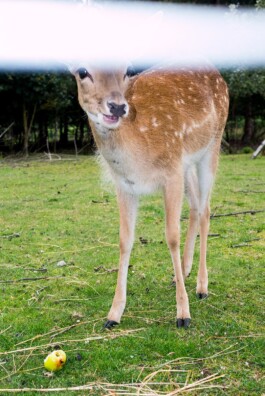  Jan Bechberger Fotograf Berlin