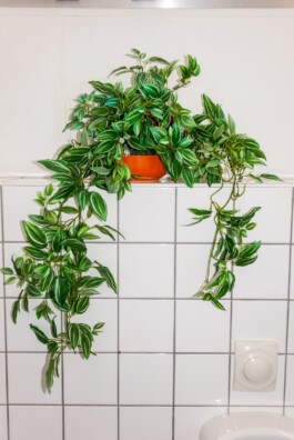  Jan Bechberger Fotograf Berlin