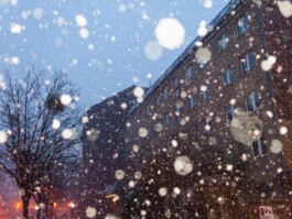  Jan Bechberger Fotograf Berlin