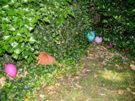  Jan Bechberger Fotograf Berlin