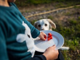  Jan Bechberger Fotograf Berlin