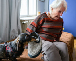 Leb wohl mein Genie Jan Bechberger Fotograf Berlin