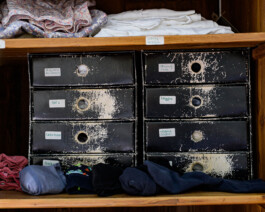 Leb wohl mein Genie Jan Bechberger Fotograf Berlin